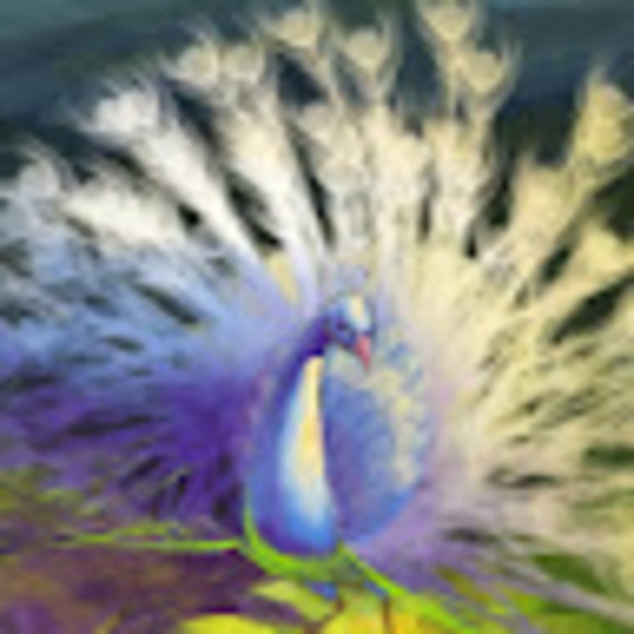 Meet your Posher, Philina - Picture 1 of 1